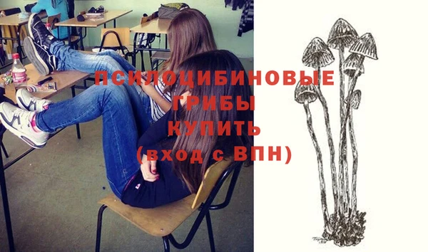а пвп мука Богданович