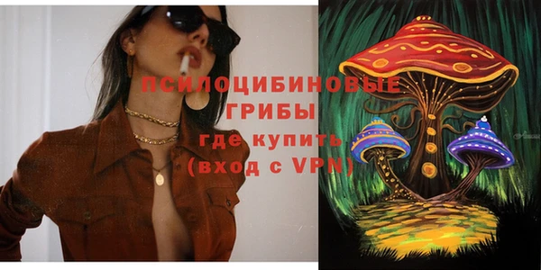 Альфа ПВП Богородск