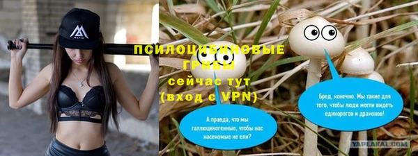 Альфа ПВП Богородск