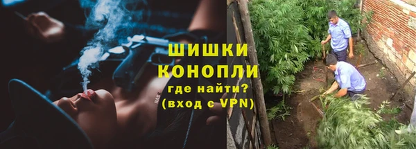 Альфа ПВП Богородск
