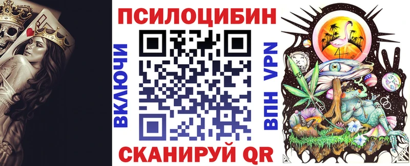 Купить где Бирюсинск Галлюциногенные грибы мухоморы